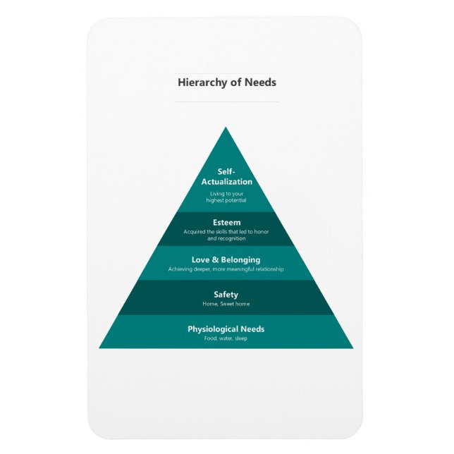 Magnet Flexible Hierarchy of Needs (Vertical)