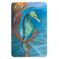 Hippocampe parmi les algues