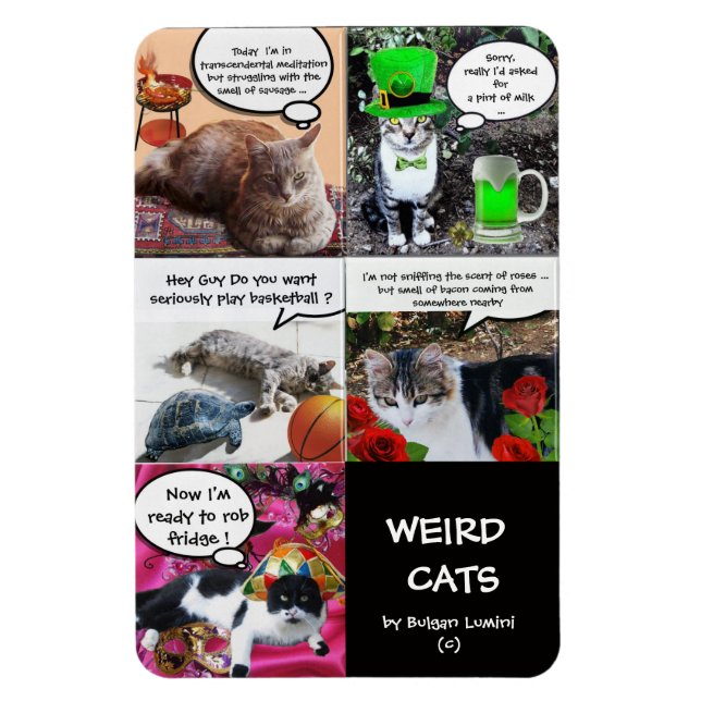 MAGNET FLEXIBLE HISTOIRES DE CHAT WEIRD (Vertical)