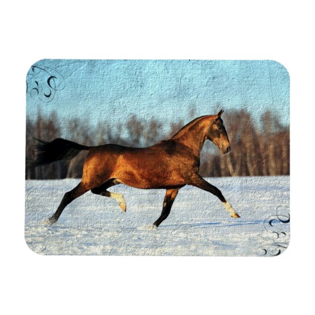 Magnet Flexible Hiver Akhal-teke (Horizontal)