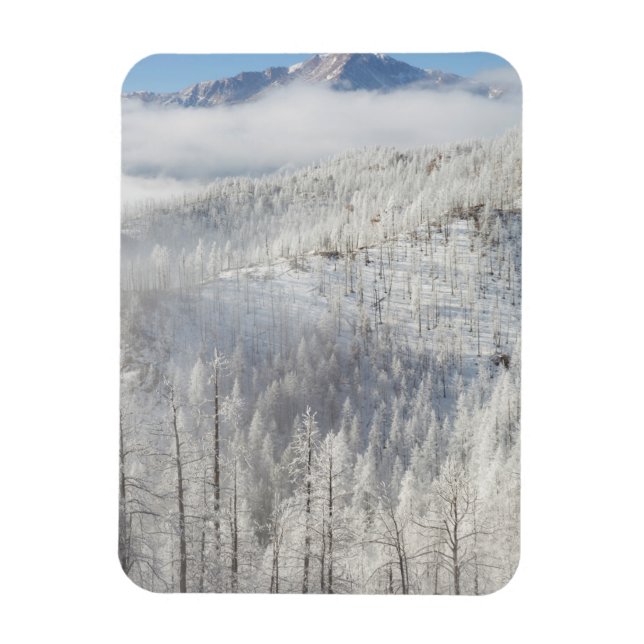 Magnet Flexible Hiver dans la forêt nationale de Pike (Vertical)