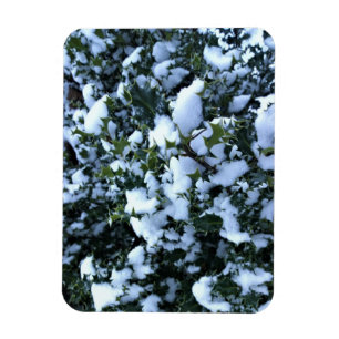 Magnet Flexible Holly couvert de neige