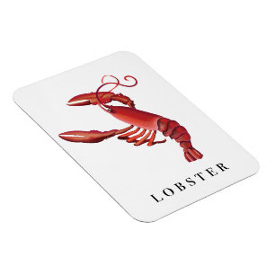 Magnet Flexible Homard