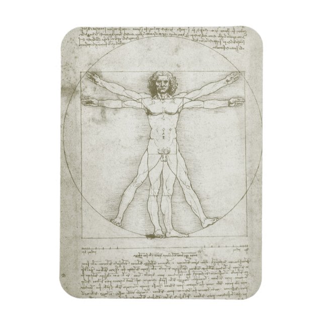 Magnet Flexible Homme vitruvien par Leonardo da Vinci (Vertical)