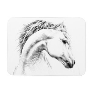 Magnet Flexible Horse portrait drawing equestrian art