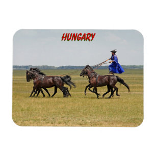 Magnet Flexible Horseman hongrois et chevaux