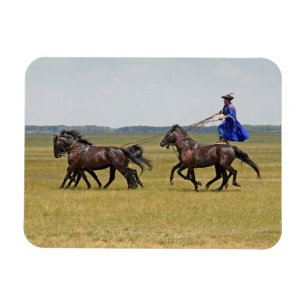Magnet Flexible Horseman hongrois et chevaux