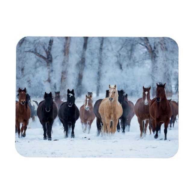 Magnet Flexible Horses in the Cold (Horizontal)