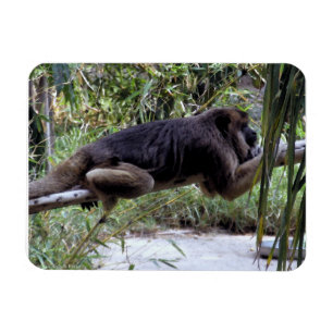 Magnet Flexible Howler Monkey Hangout