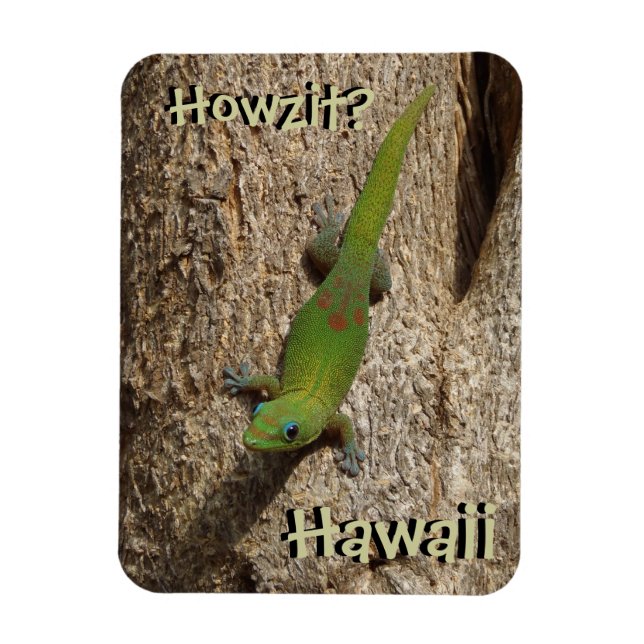 Magnet Flexible Howzit Hawaii gecko rectangle tropical aimant (Vertical)