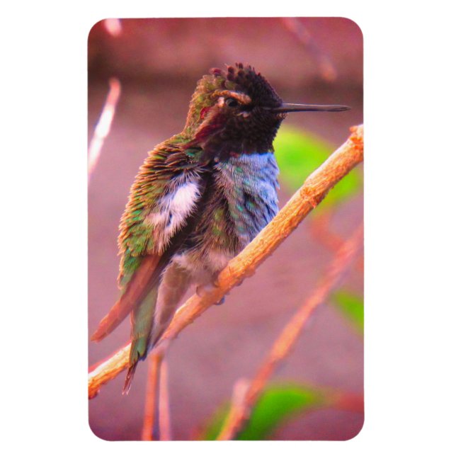 Magnet Flexible Humming Bird (Vertical)