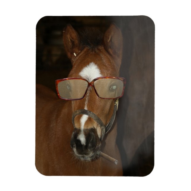 Magnet Flexible Humour Cheval Foie Fumer Cigar Aimant Flexible (Vertical)