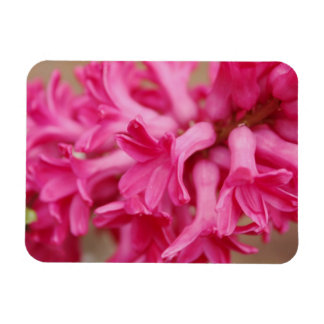 Magnet Flexible Hyacinth rose