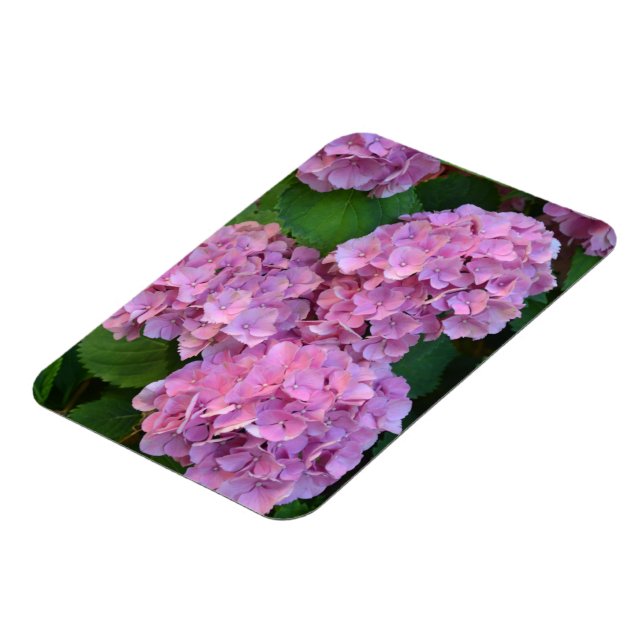 Magnet Flexible Hydrangea hortensia rose pastel en fleurs  (Côté Gauche)