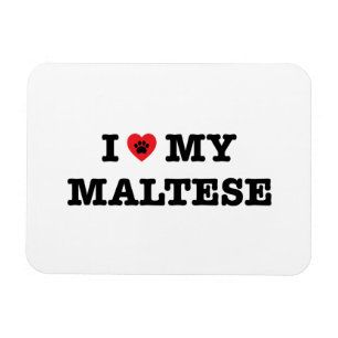 Magnet Flexible I coeur mon maltais