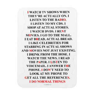 Magnet Flexible I Do Normal Things Funny List