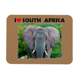 Magnet Flexible I Heart Afrique du Sud jeune éléphant taureau