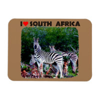 I Heart Afrique du Sud Zebra Aloe
