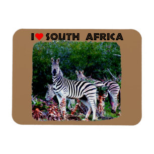 Magnet Flexible I Heart Afrique du Sud Zebra Aloe