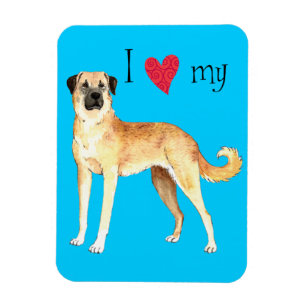 Magnet Flexible I Love my Anatolian Shepherd