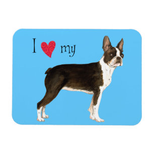 Magnet Flexible I Love my Boston Terrier