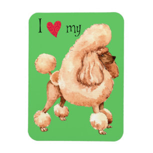 Magnet Flexible I Love my Toy Poodle