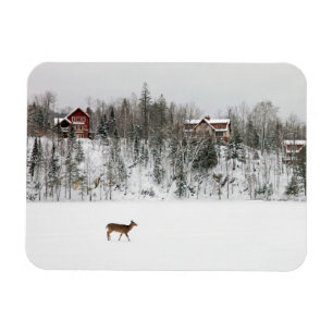 Magnet Flexible Ice & Snow Deer in Snow Quebec, Canada