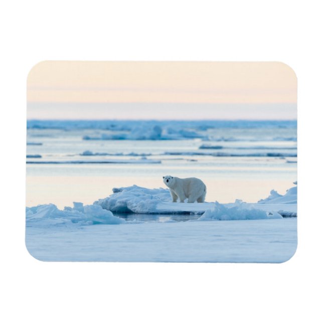 Magnet Flexible Ice & Snow | Polar Bear Iceberg Norway (Horizontal)