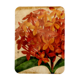 Magnet Flexible III floral vibrant