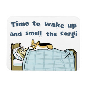 Magnet Flexible Il est temps de se réveiller et de sentir le Corgi