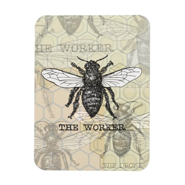 Magnet Flexible Illustration d'abeille ouvrière vintage (Vertical)