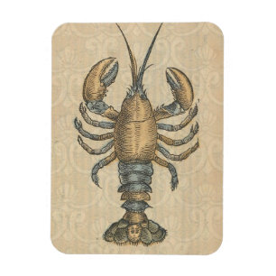 Magnet Flexible Illustration de homard, fruits de mer du Maine