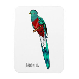 Magnet Flexible Illustration d'oiseau de quetzal resplendissant