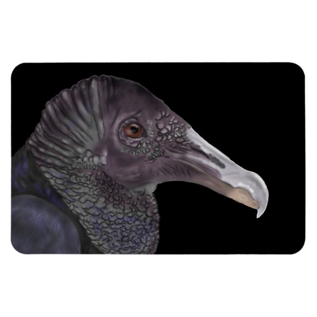 Magnet Flexible Illustration du vautour noir (Horizontal)