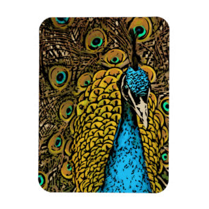 Magnet Flexible Illustration Peacock Splendor