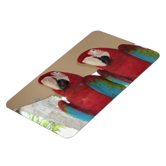 Magnet Flexible Illustration tropicale d'ara rouge (Côté Gauche)