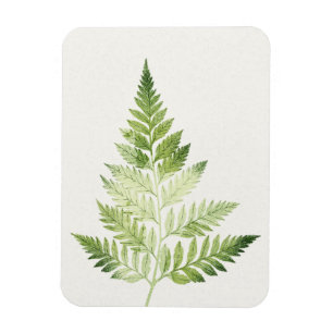 Magnet Flexible Illustration végétale minimaliste de la fougère ve