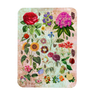 Magnet Flexible Illustrations vintages de fleurs botaniques Art de