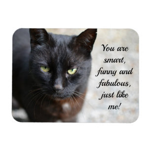 Magnet Flexible Image d'amour de chat noir avec citation motivatio
