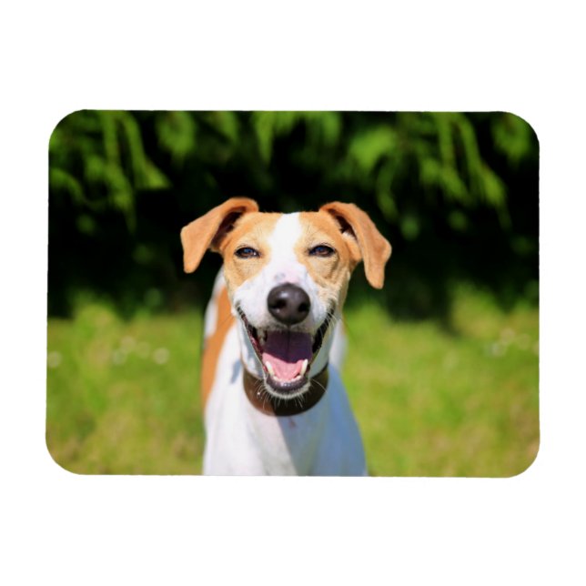 Magnet Flexible Images Getty | Chien riant (Horizontal)