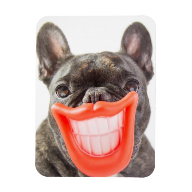 Magnet Flexible Images Getty | Un chien souriant (Vertical)