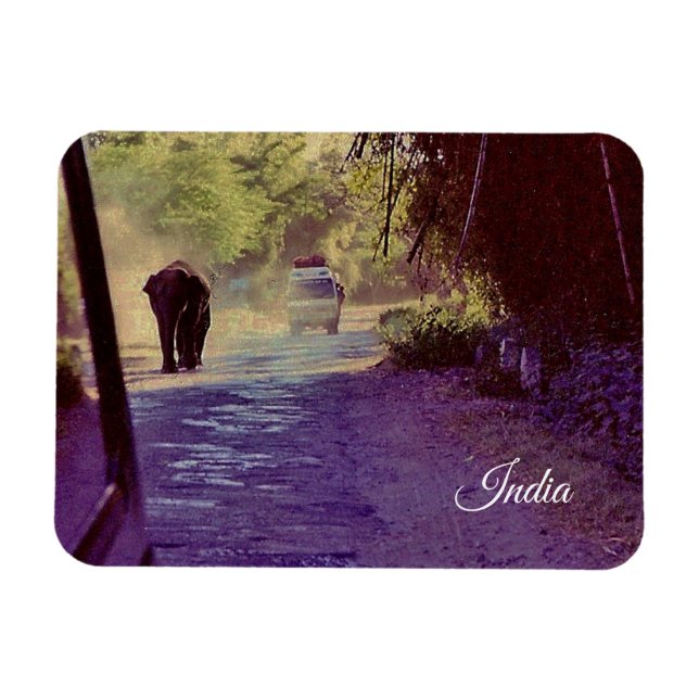 Magnet Flexible Inde (Horizontal)