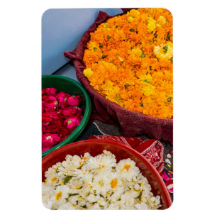 Magnet Flexible Inde, Rajasthan, Pipar