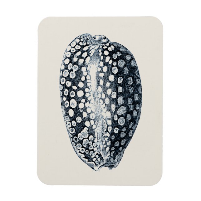 Magnet Flexible Indigo Seashell (Vertical)