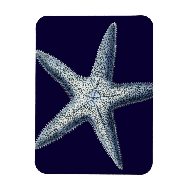 Magnet Flexible Indigo Shells IV (Vertical)