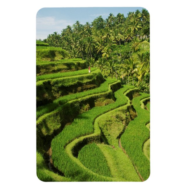Magnet Flexible Indonésie, Bali | Rizières (Vertical)