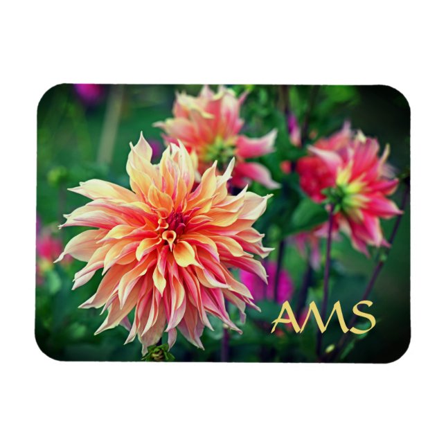 Magnet Flexible Initiales à la fleur de dahlia orange et rose (Horizontal)