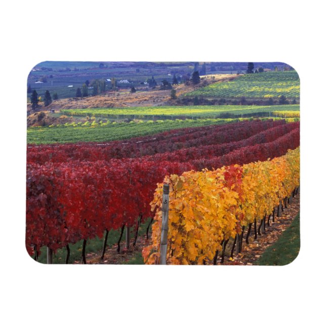 Magnet Flexible Intense couleur rouge et jaune sur Gehring (Horizontal)