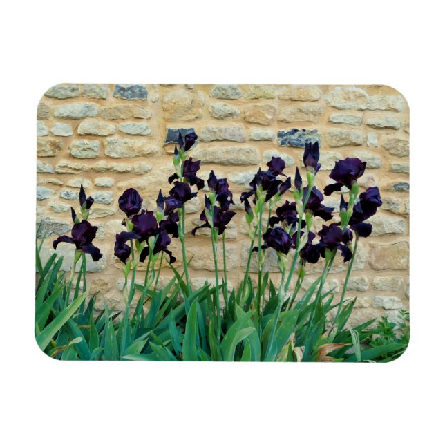 Magnet Flexible Iris à poils (Horizontal)