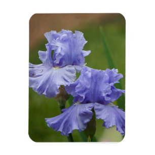 Magnet Flexible Iris Délice